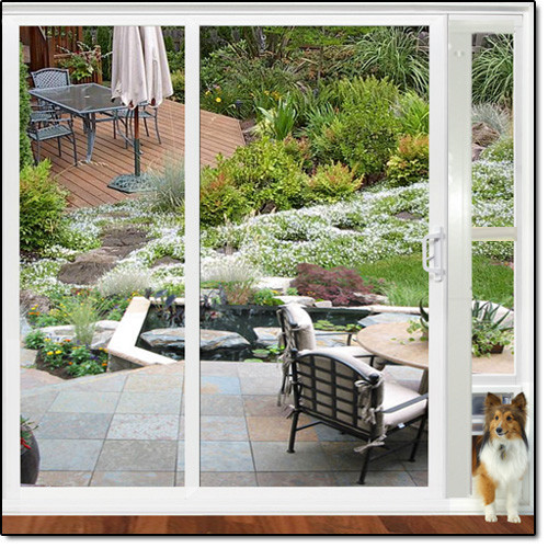 Best ideas about Patio Pet Door
. Save or Pin Modular Patio Pet Doors Now.