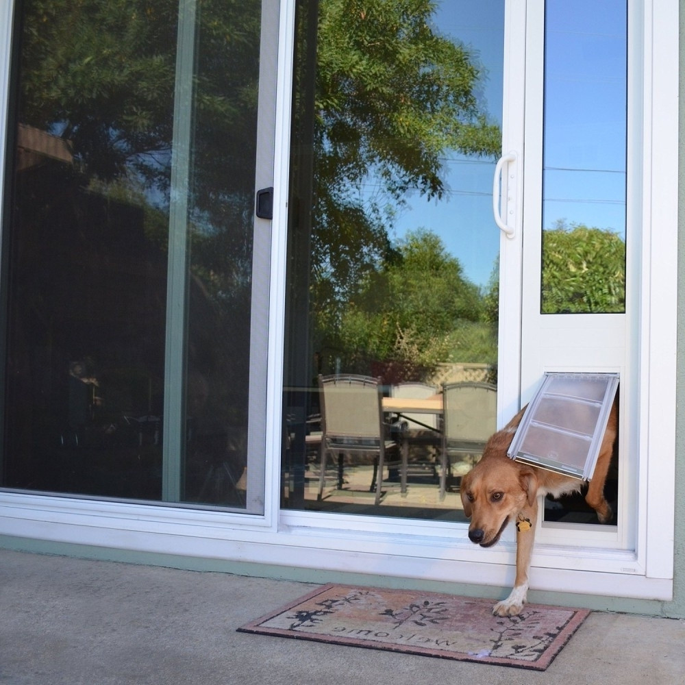 Best ideas about Patio Pet Door
. Save or Pin Patio Pet Door Cat and Dog Lovers Now.