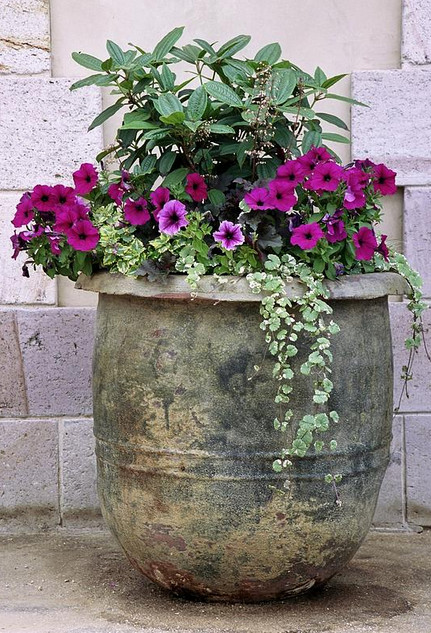 Best ideas about Patio Planter Ideas
. Save or Pin Planter Ideas for Your Garden Patio Now.
