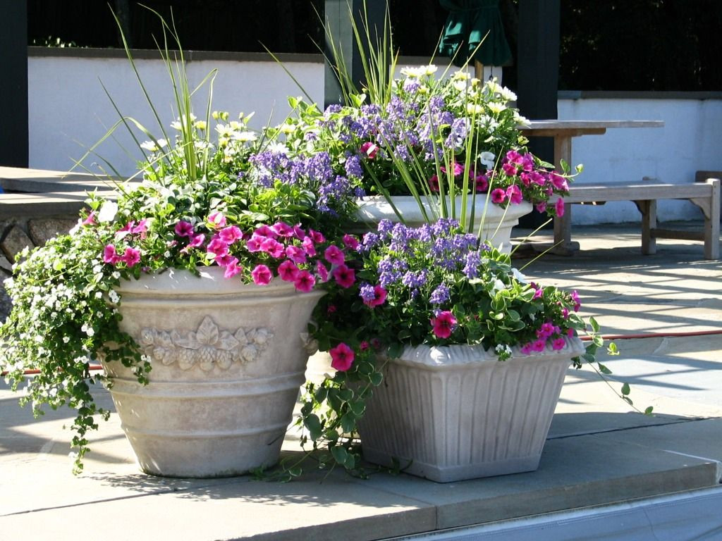 Best ideas about Patio Planter Ideas
. Save or Pin Best 25 Outdoor flower pots ideas on Pinterest Now.