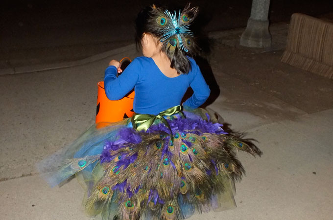 Best ideas about Peacock Costume DIY Kids
. Save or Pin DIY Peacock Costume Two Sisters Now.