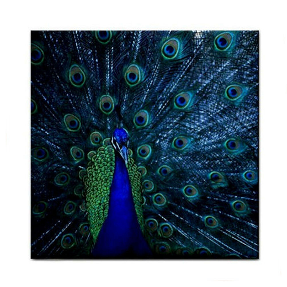 Best ideas about Peacock Kitchen Decor
. Save or Pin PROUD BLUE PEACOCK NEW HOME DECOR Ceramic Wall TILE Now.