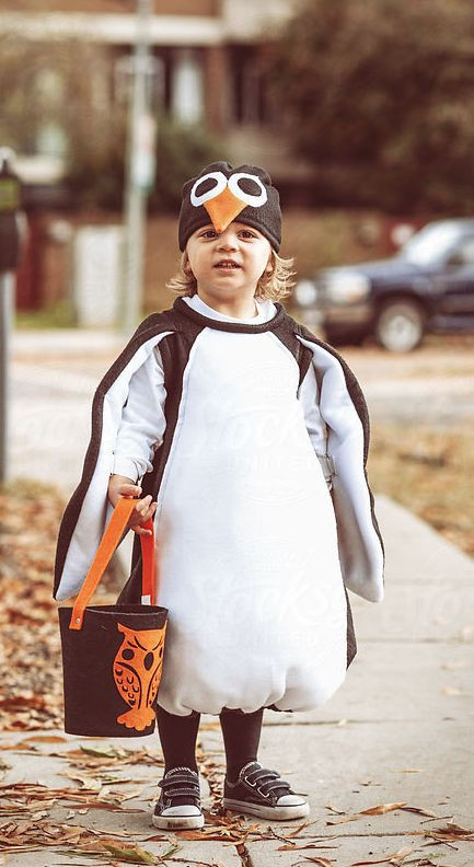 Best ideas about Penguin Costumes DIY
. Save or Pin 25 best ideas about Penguin costume on Pinterest Now.