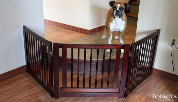 Best ideas about Pet Gate For Stairs
. Save or Pin Don t Buy Indoor Pet Gates for Dogs Before Reading This Now.