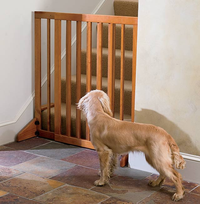 Best ideas about Pet Gate For Stairs
. Save or Pin Dog Gate for House Interior Stair Gate Orvis UK Now.