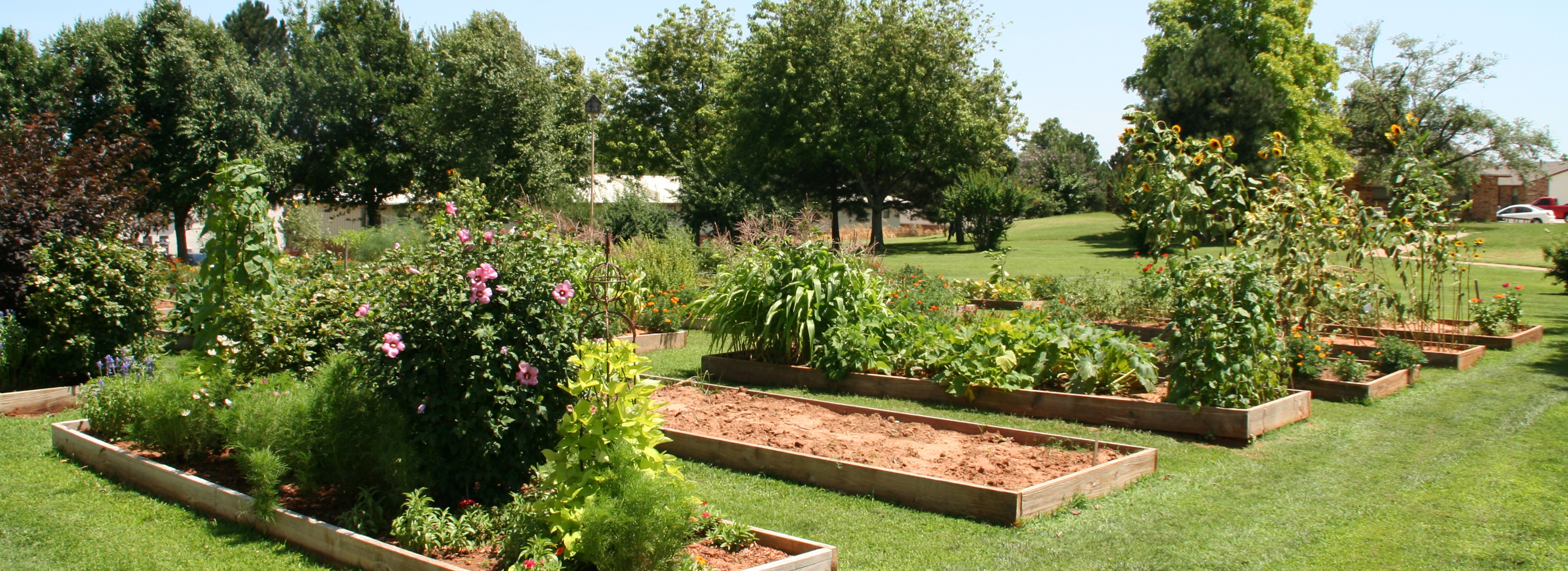Best ideas about Pioneer Landscape Centers
. Save or Pin PIONEER CENTER – cityofweatherford Now.