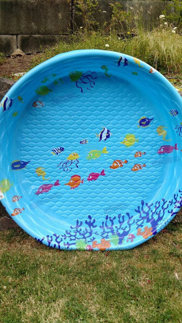 Best ideas about Plastic Baby Pool
. Save or Pin FREE Hard plastic kid pool NEW Baby & Kids in Now.