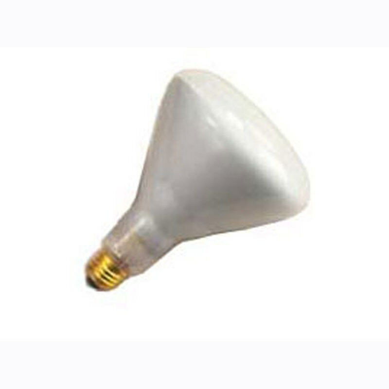 Best ideas about Pool Light Bulb
. Save or Pin Pool Light Replacement Bulb Now.