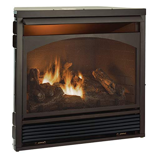 Best ideas about Propane Fireplace Insert
. Save or Pin Propane Gas Fireplace Insert Amazon Now.