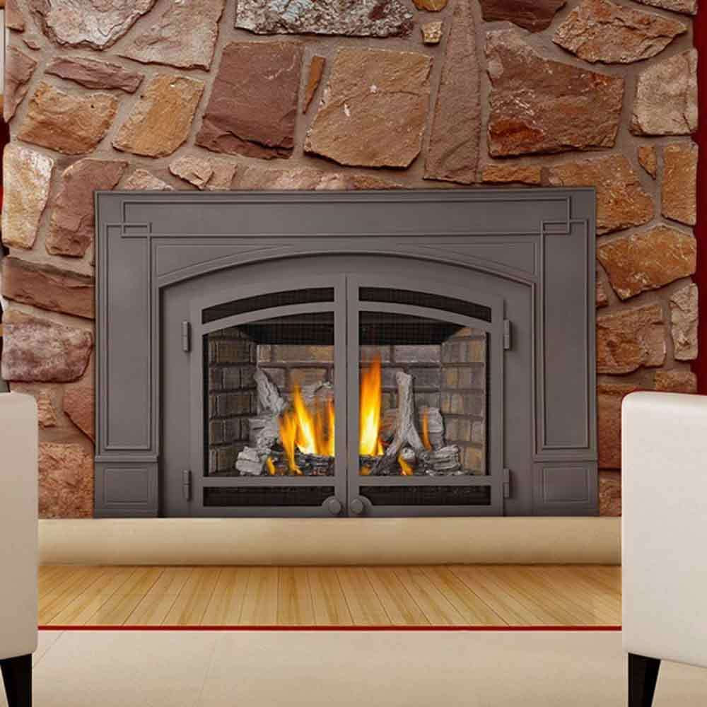 Best ideas about Propane Fireplace Insert
. Save or Pin Napoleon IR3N IR Series Gas Fireplace Insert Now.