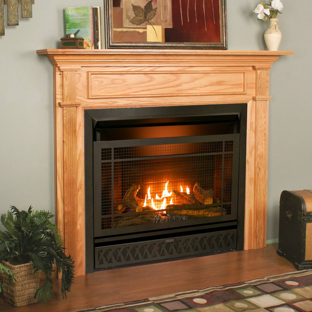 Best ideas about Propane Fireplace Insert
. Save or Pin Gas Fireplace Insert Dual Fuel Technology 26 000 BTU Now.