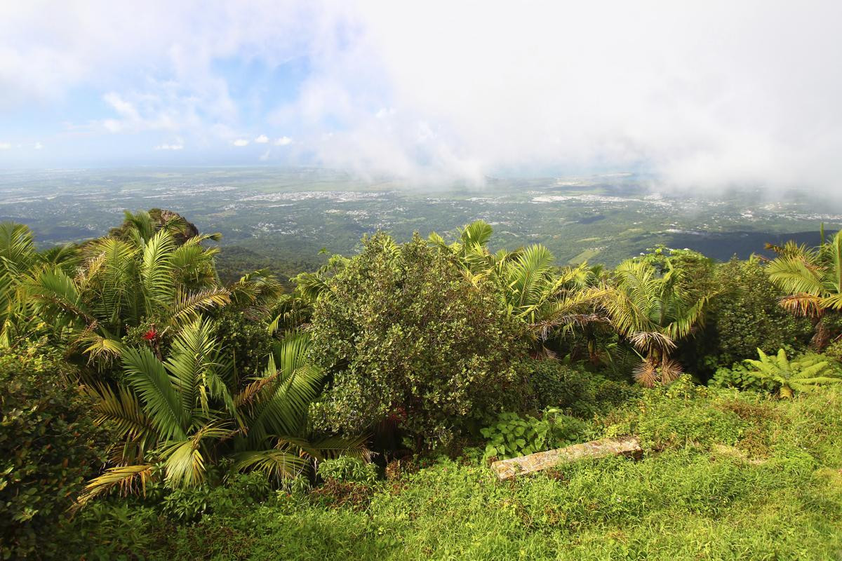 Best ideas about Puerto Rico Landscape
. Save or Pin Easy to Remember Puerto Rico Facts for Kids Now.
