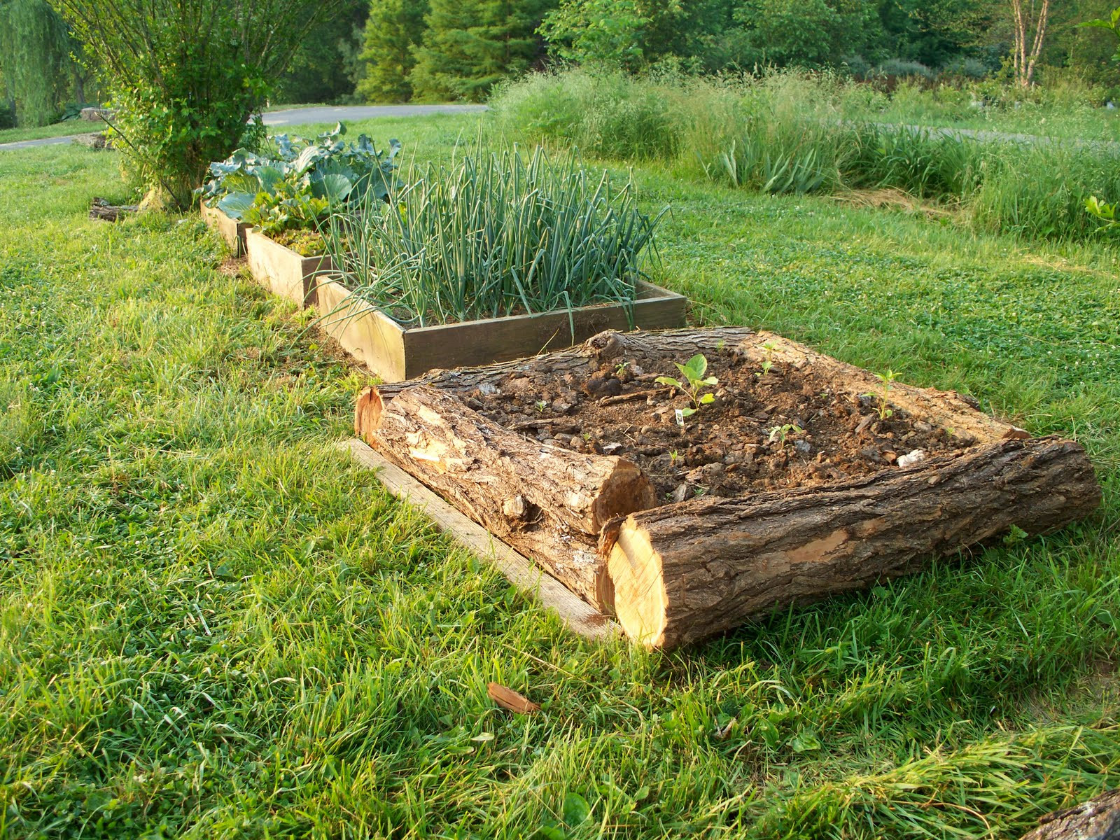 Best ideas about Raised Bed Garden Ideas
. Save or Pin Vegans Living f the Land Raised Bed Garden Ideas Now.