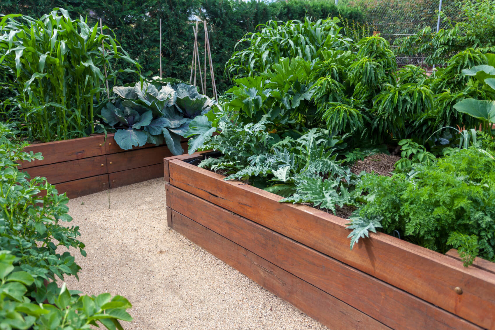 Best ideas about Raised Bed Garden Ideas
. Save or Pin 41 Backyard Raised Bed Garden Ideas Now.