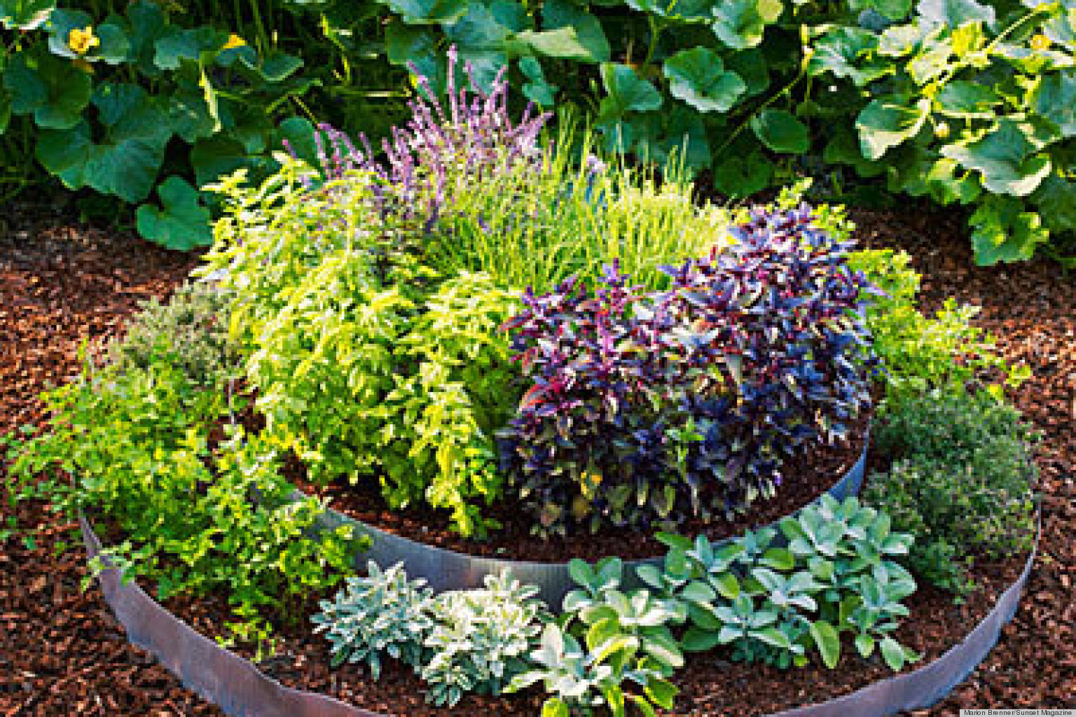 Best ideas about Raised Bed Garden Ideas
. Save or Pin 10 Raised Bed Garden Ideas Now.