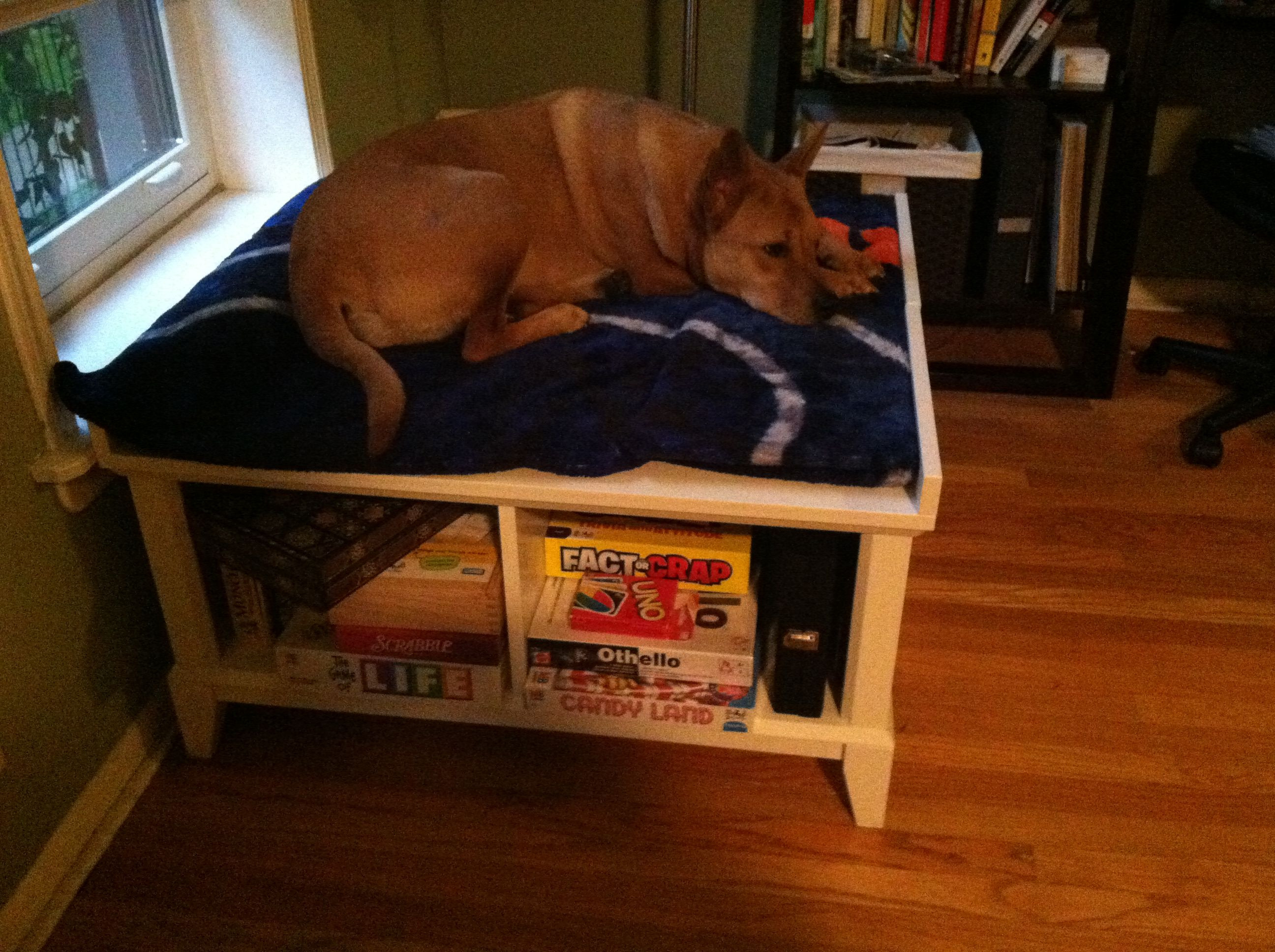 Best ideas about Raised Dog Bed DIY
. Save or Pin Best 25 Raised dog beds ideas on Pinterest Now.