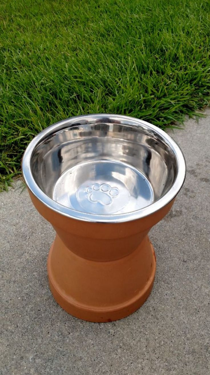 Best ideas about Raised Dog Bowl DIY
. Save or Pin Best 25 Raised dog bowls ideas on Pinterest Now.