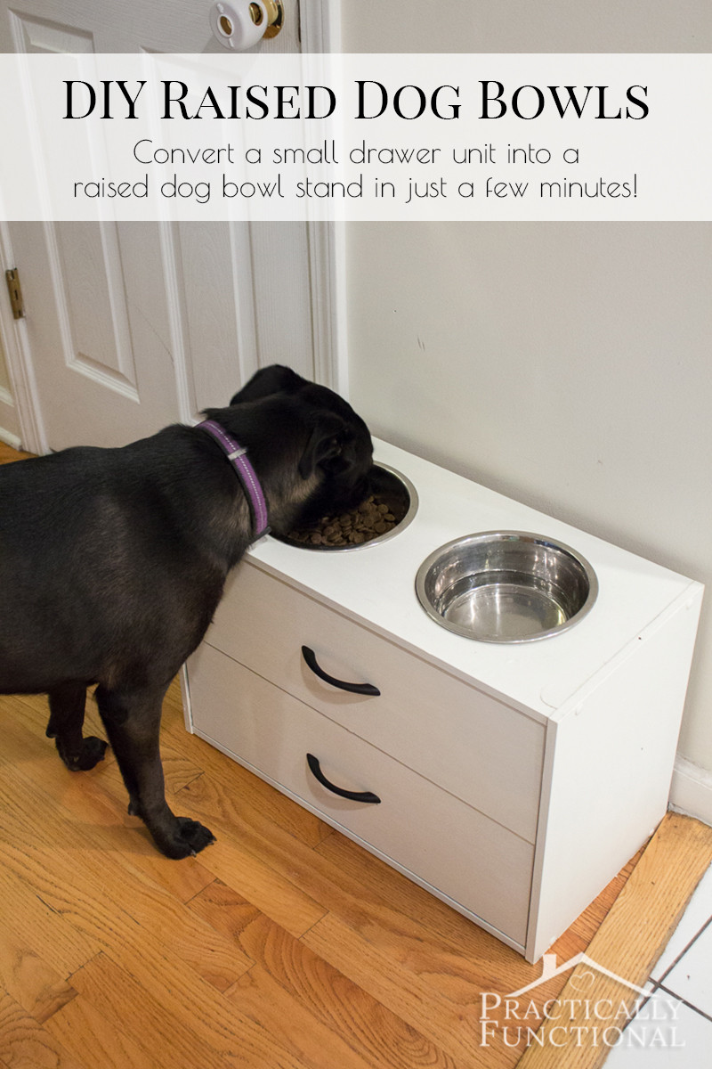 Best ideas about Raised Dog Bowl DIY
. Save or Pin DIY Raised Dog Bowl Stand Now.