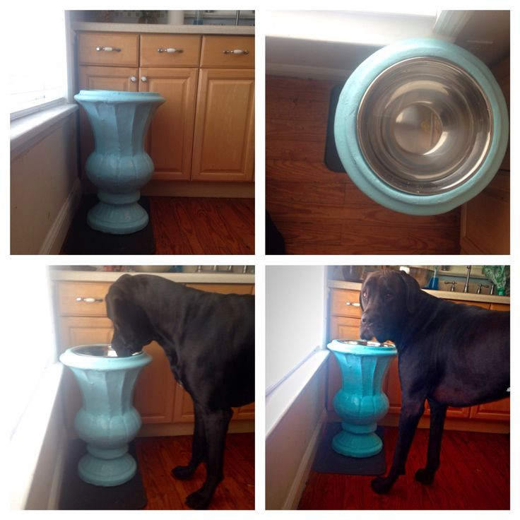 Best ideas about Raised Dog Bowls DIY
. Save or Pin Best 25 Raised dog bowls ideas on Pinterest Now.
