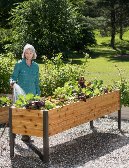 Best ideas about Raised Garden Planters
. Save or Pin Planter Boxes Elevated Cedar Planter Box Now.