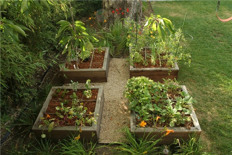 Best ideas about Raised Veg Garden Ideas
. Save or Pin Raised Bed Ve able Gardening Landscaping Network Now.