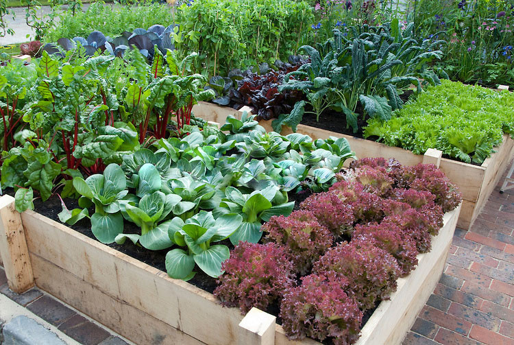 Best ideas about Raised Vegetable Garden Ideas
. Save or Pin 7 Gorgeous Raised Bed Ve able Gardens f Grid World Now.