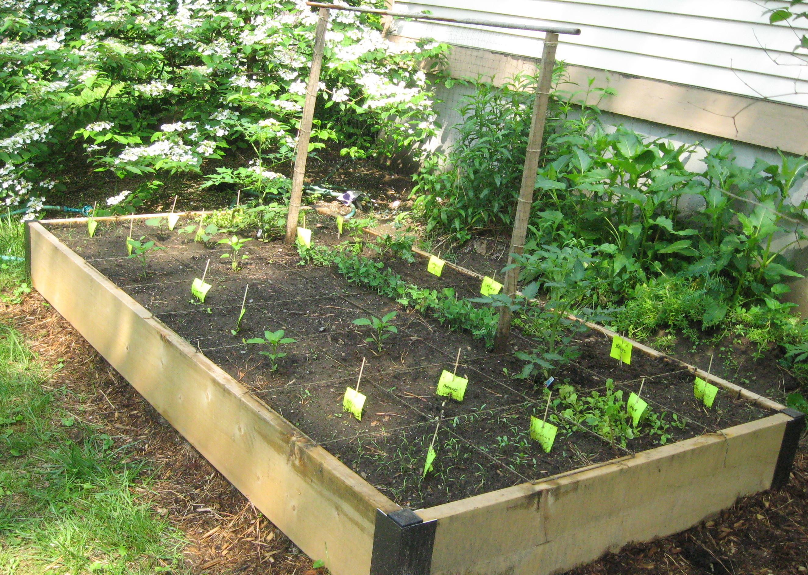 Best ideas about Raised Vegetable Garden Ideas
. Save or Pin Easy And Simple DIY Square Foot Wood Raised Bed Ve able Now.