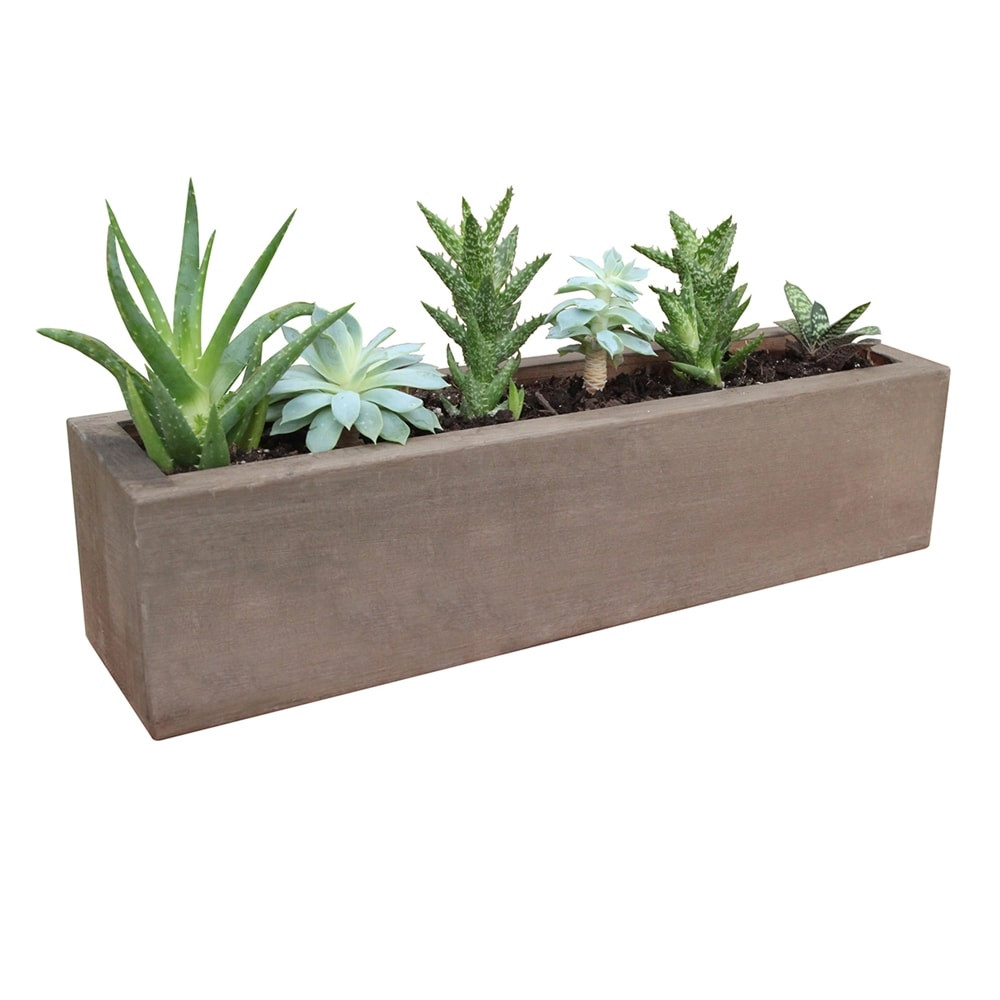 Best ideas about Rectangular Indoor Planter
. Save or Pin Gronomics Rectangular Succulent Planter Now.