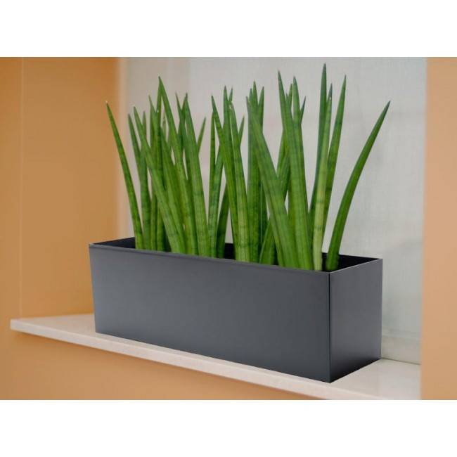 Best ideas about Rectangular Planter Box Indoor
. Save or Pin PotLuck Color Molded Rectangle Planter Now.