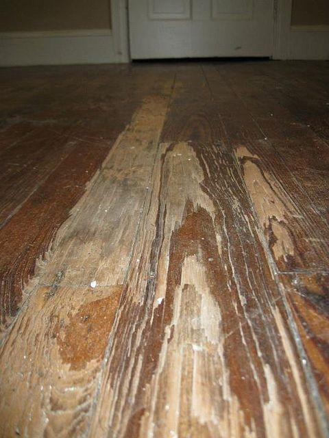 Best ideas about Refinish Wood Floor DIY
. Save or Pin 25 best ideas about Hardwood floor refinishing on Pinterest Now.