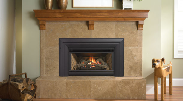 Best ideas about Regency Fireplace Insert
. Save or Pin Regency Energy™ E21 Small Gas Insert – Leisure World WV Now.
