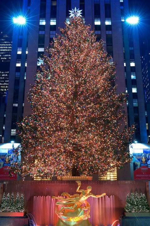 Best ideas about Rockefeller Christmas Tree Lighting 2019
. Save or Pin 26 best New York City images on Pinterest Now.