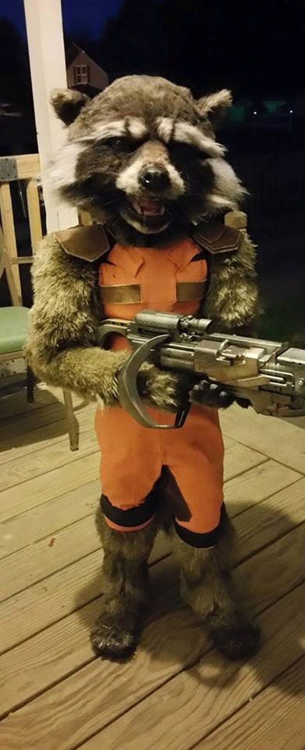 Best ideas about Rocket Raccoon Costume DIY
. Save or Pin DIY Kid s Rocket Raccoon Costume Guardian of the Front Now.