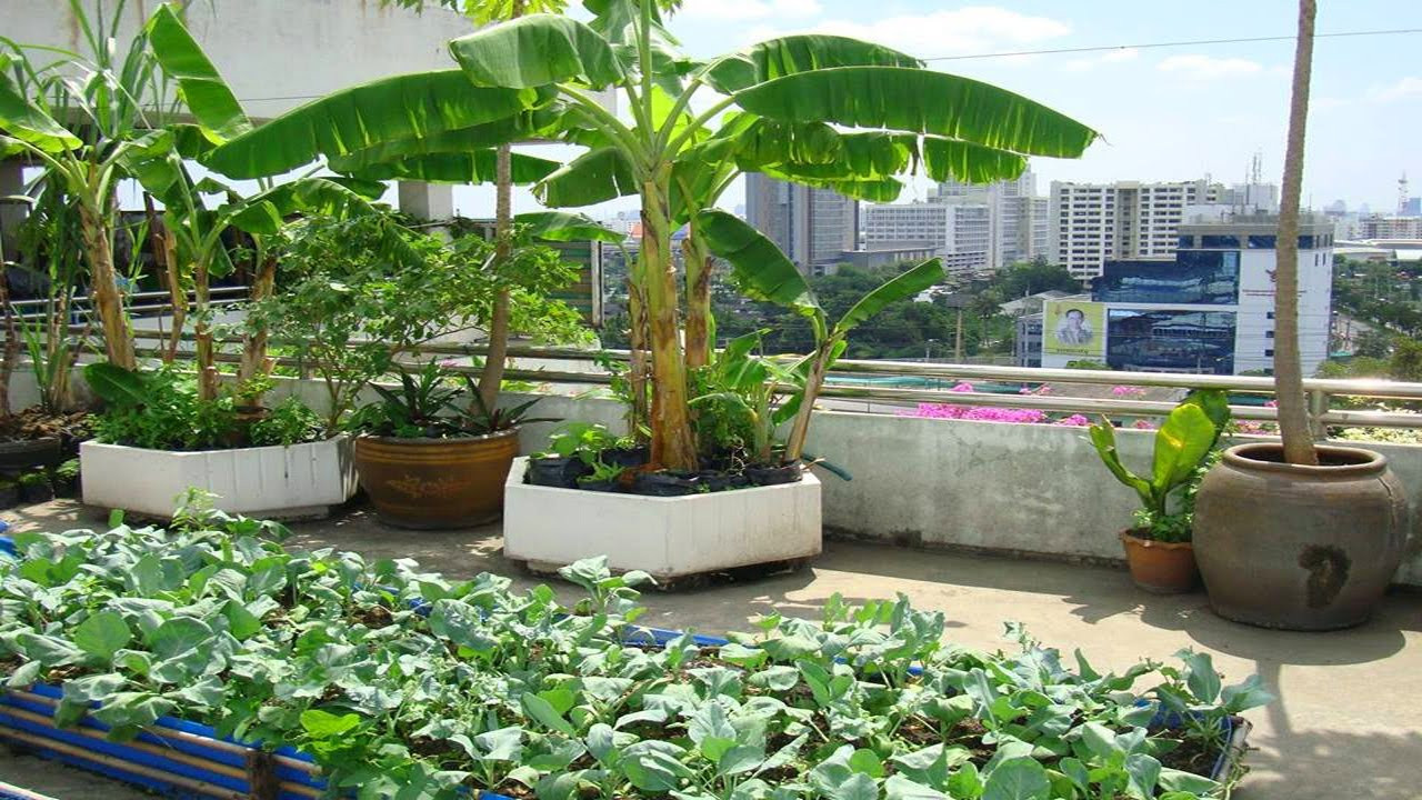Best ideas about Rooftop Garden Ideas
. Save or Pin Inspiring Roof Top Garden Designs Ideas Now.