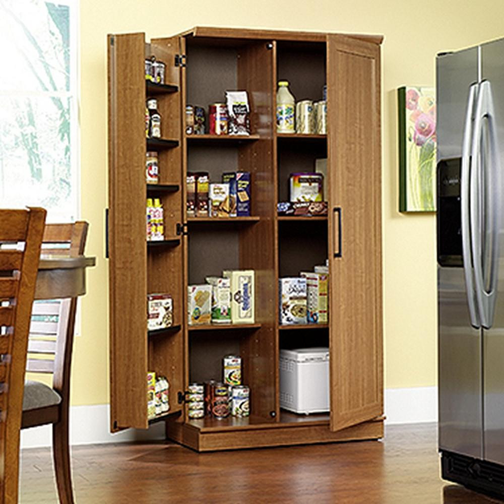 Best ideas about Sauder Homeplus Storage Cabinet
. Save or Pin SAUDER Home Plus Sienna Oak Storage Cabinet The Now.
