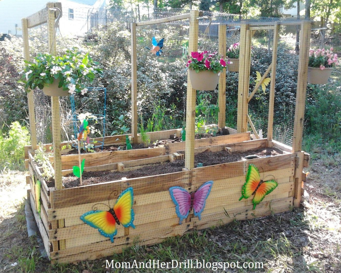 Best ideas about School Garden Ideas
. Save or Pin Image result for school garden design ideas Now.