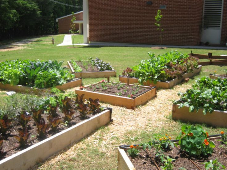 Best ideas about School Garden Ideas
. Save or Pin 43 best images about School Garden Ideas on Pinterest Now.