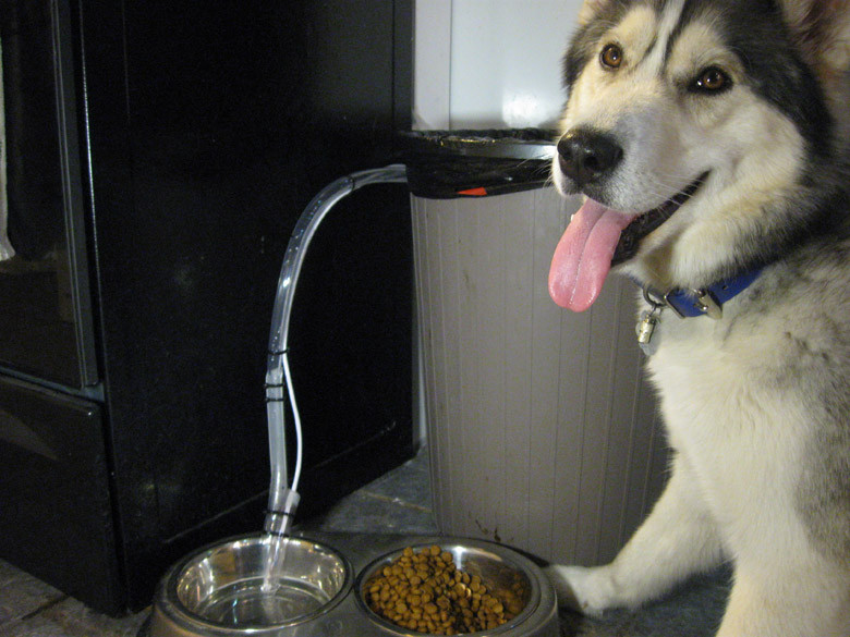 Best ideas about Self Watering Dog Bowl DIY
. Save or Pin AvBrand Projects Automatic Dog Water Dish Now.