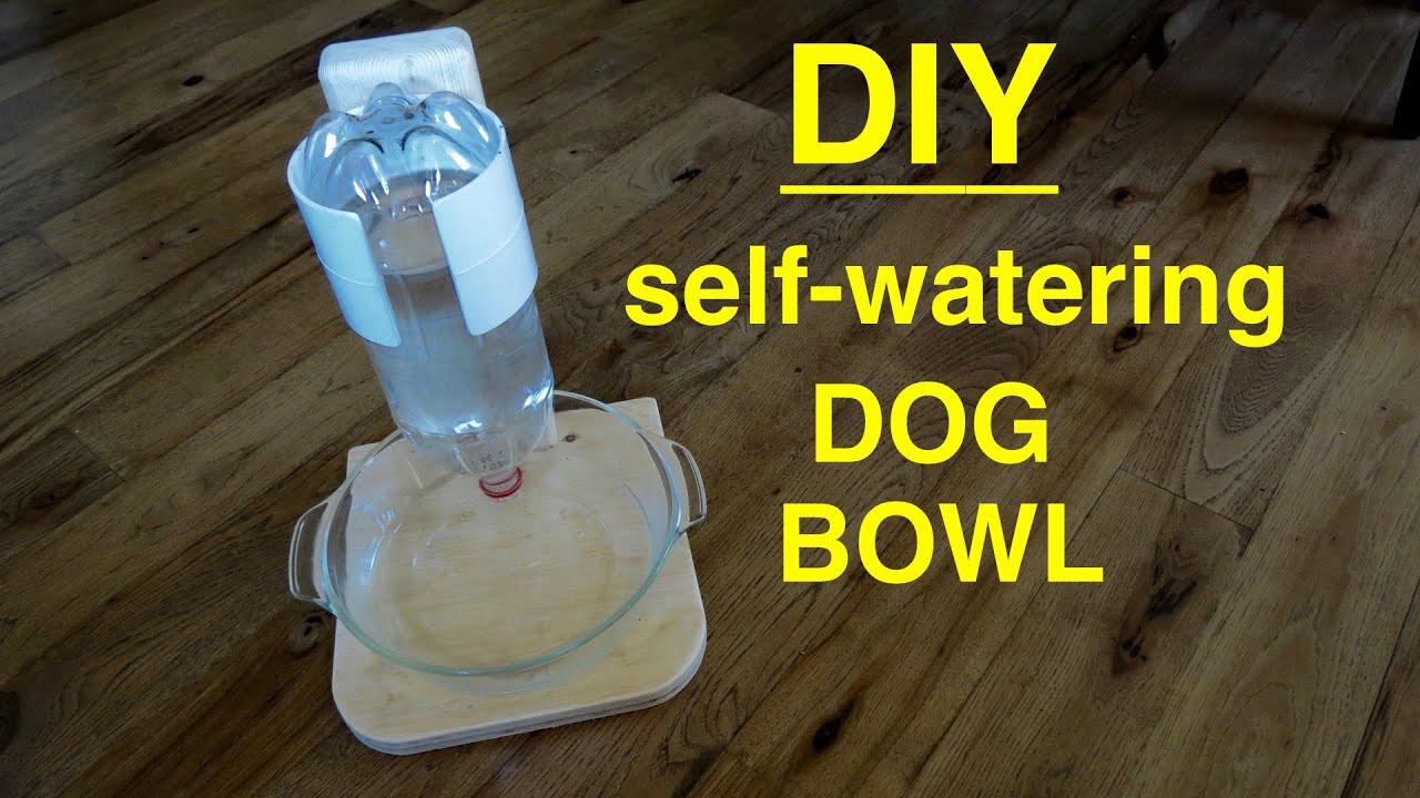 Best ideas about Self Watering Dog Bowl DIY
. Save or Pin DIY Self Filling Water Bowl for Your DOG CAT that Now.