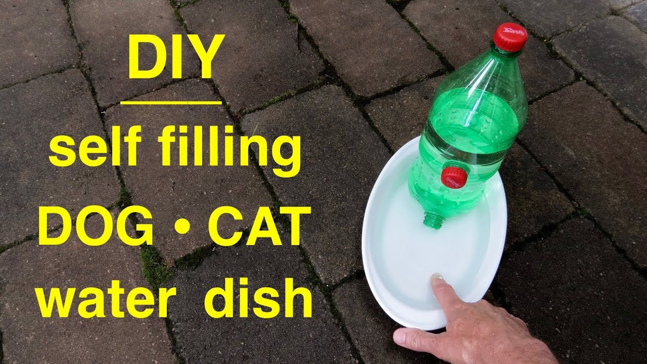 Best ideas about Self Watering Dog Bowl DIY
. Save or Pin How to make a DOG CAT Self filling Water Dish Now.