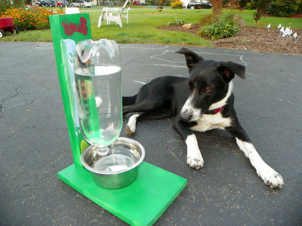 Best ideas about Self Watering Dog Bowl DIY
. Save or Pin The Awesomest Coolest Easiest Water Bowl for DOGS & CATS Now.