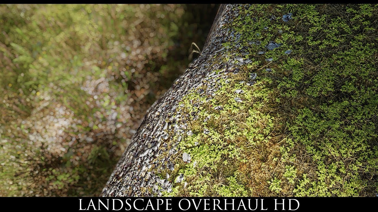 Best ideas about Skyrim Landscape Overhaul
. Save or Pin Skyrim SE Mods Landscape Overhaul HD Now.