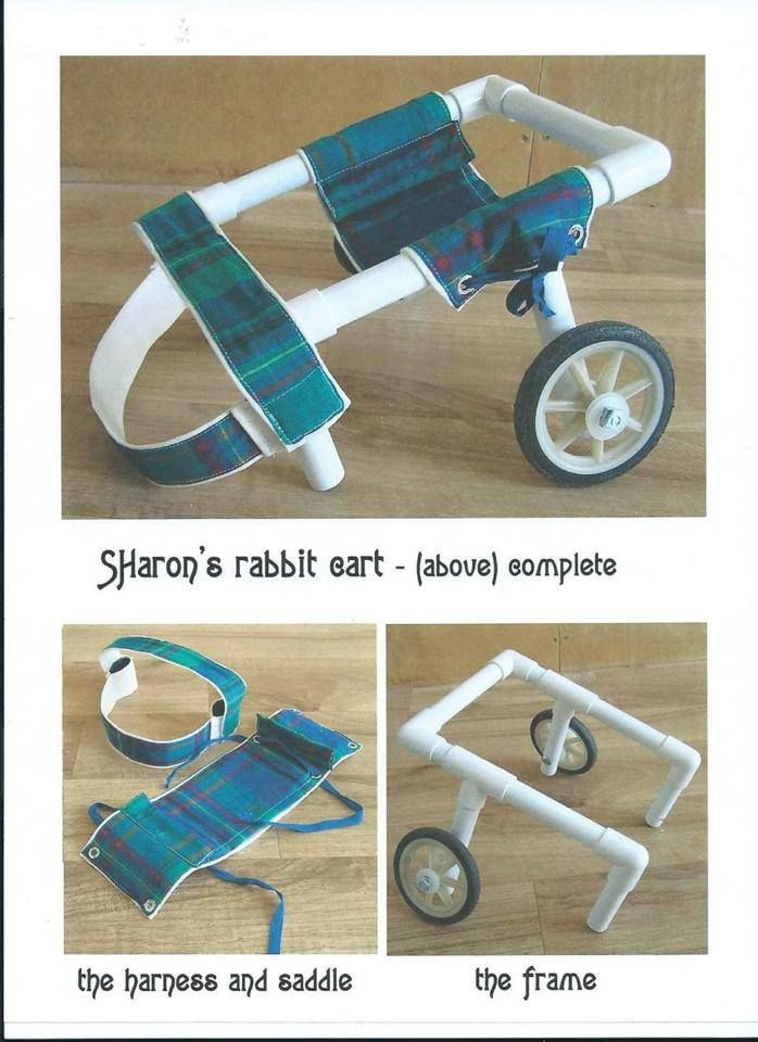 Best ideas about Small Dog Wheelchair DIY
. Save or Pin 17 Best images about wheelchairs on Pinterest Now.