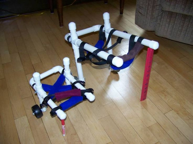 Best ideas about Small Dog Wheelchair DIY
. Save or Pin 16 best images about wheelchair on Pinterest Now.