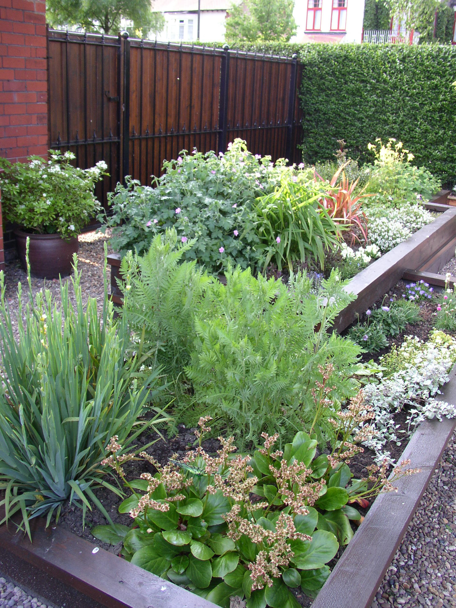 Best ideas about Small Front Garden Ideas
. Save or Pin Wel e to Suzie Nichols Design Ltd Small Front Garden Now.