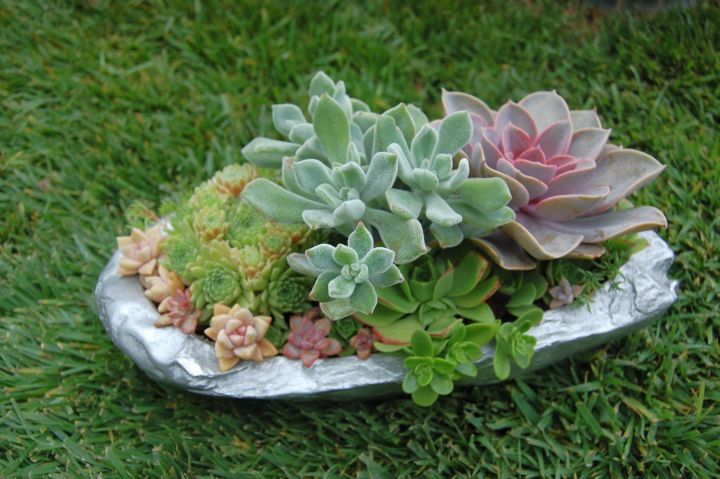 Best ideas about Small Rock Garden Ideas
. Save or Pin 18 Simple Small Rock Garden Designs Now.