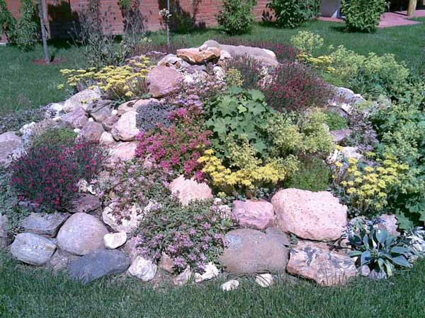 Best ideas about Small Rock Garden Ideas
. Save or Pin Some Considerations for your Small Rock Garden Now.