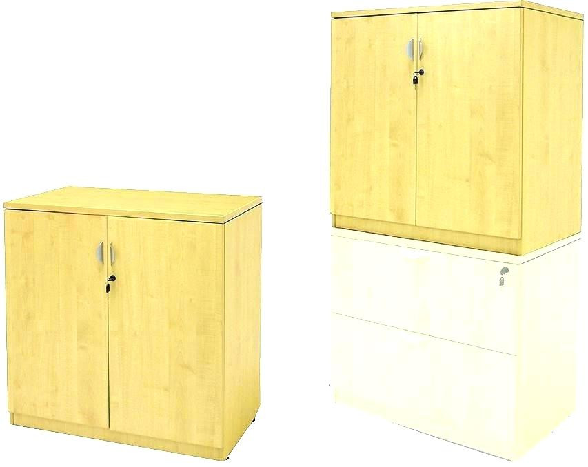 Best ideas about Small Storage Cabinets With Doors
. Save or Pin Small Locking Wood Storage Cabinet Now.