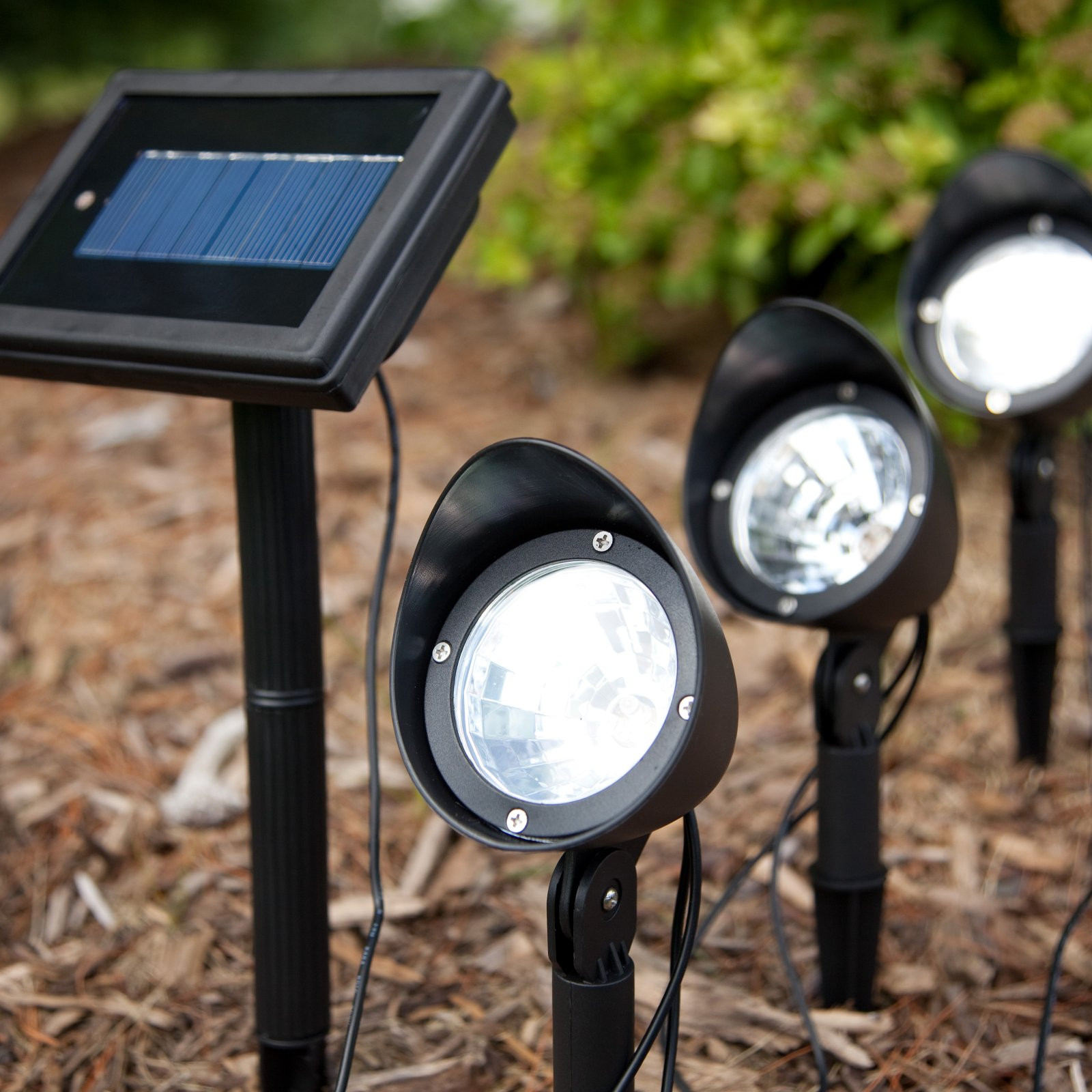 Best ideas about Solar Landscape Spotlights
. Save or Pin Outdoor motion solar spotlights WinLights Now.