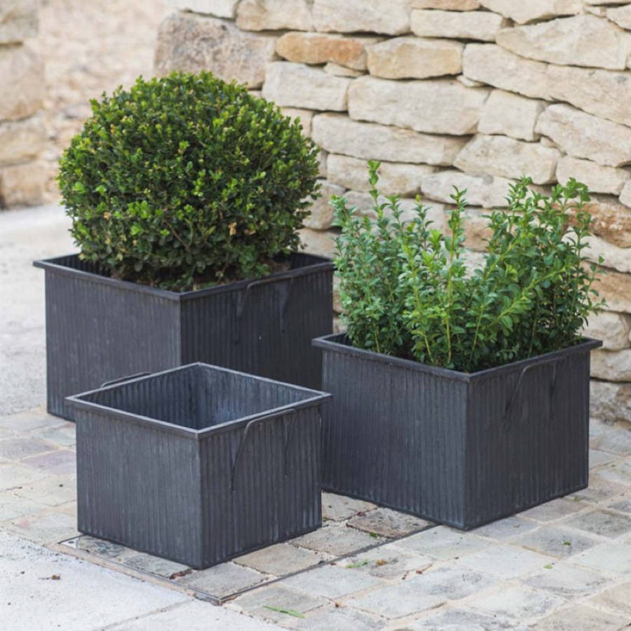 Best ideas about Square Outdoor Planters
. Save or Pin square planter by all things brighton beautiful Now.